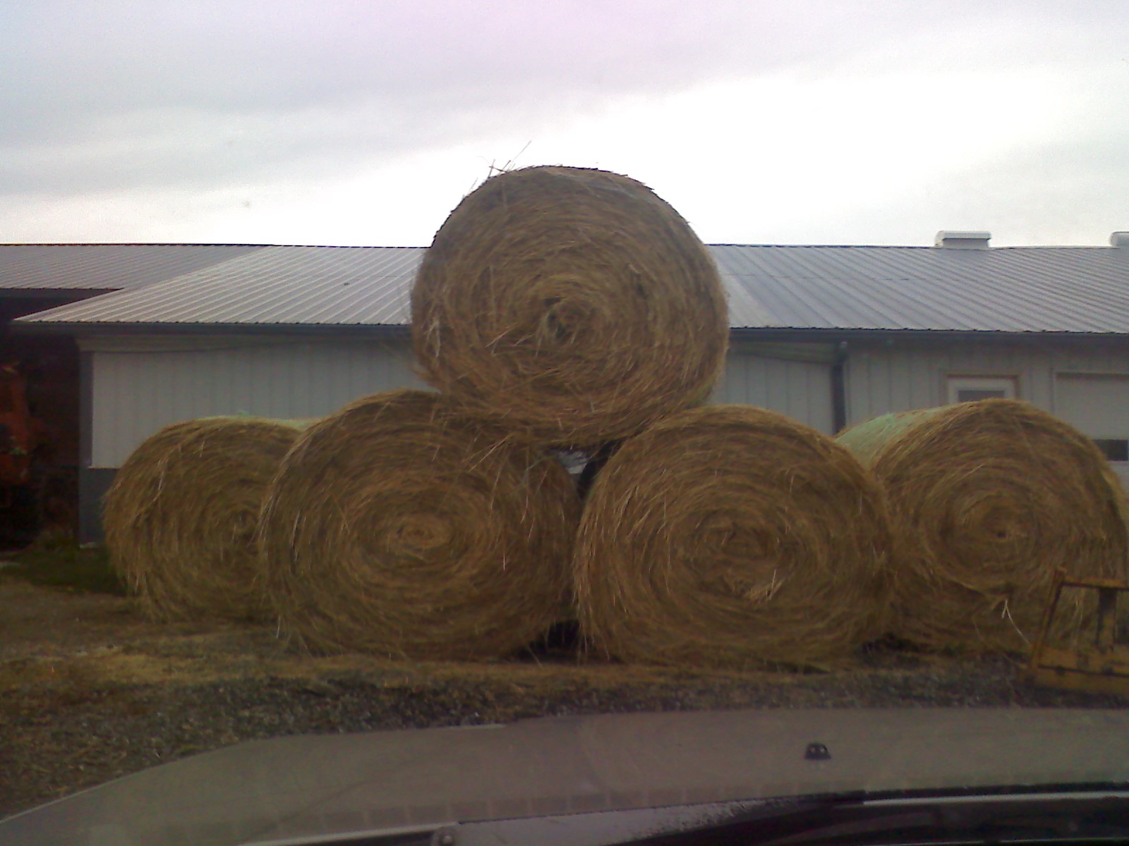 Amish Horses Hay Sale