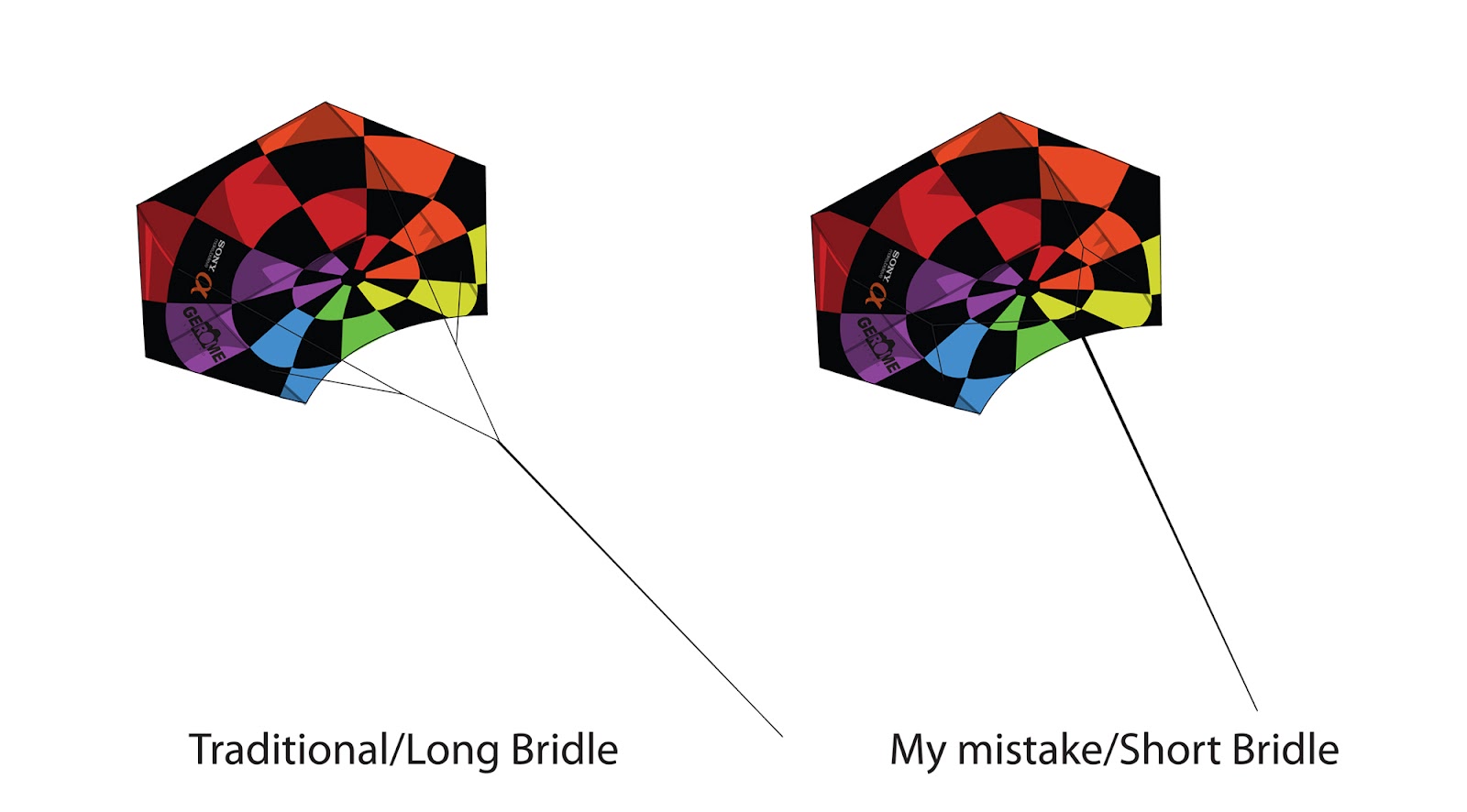Kite Bridle