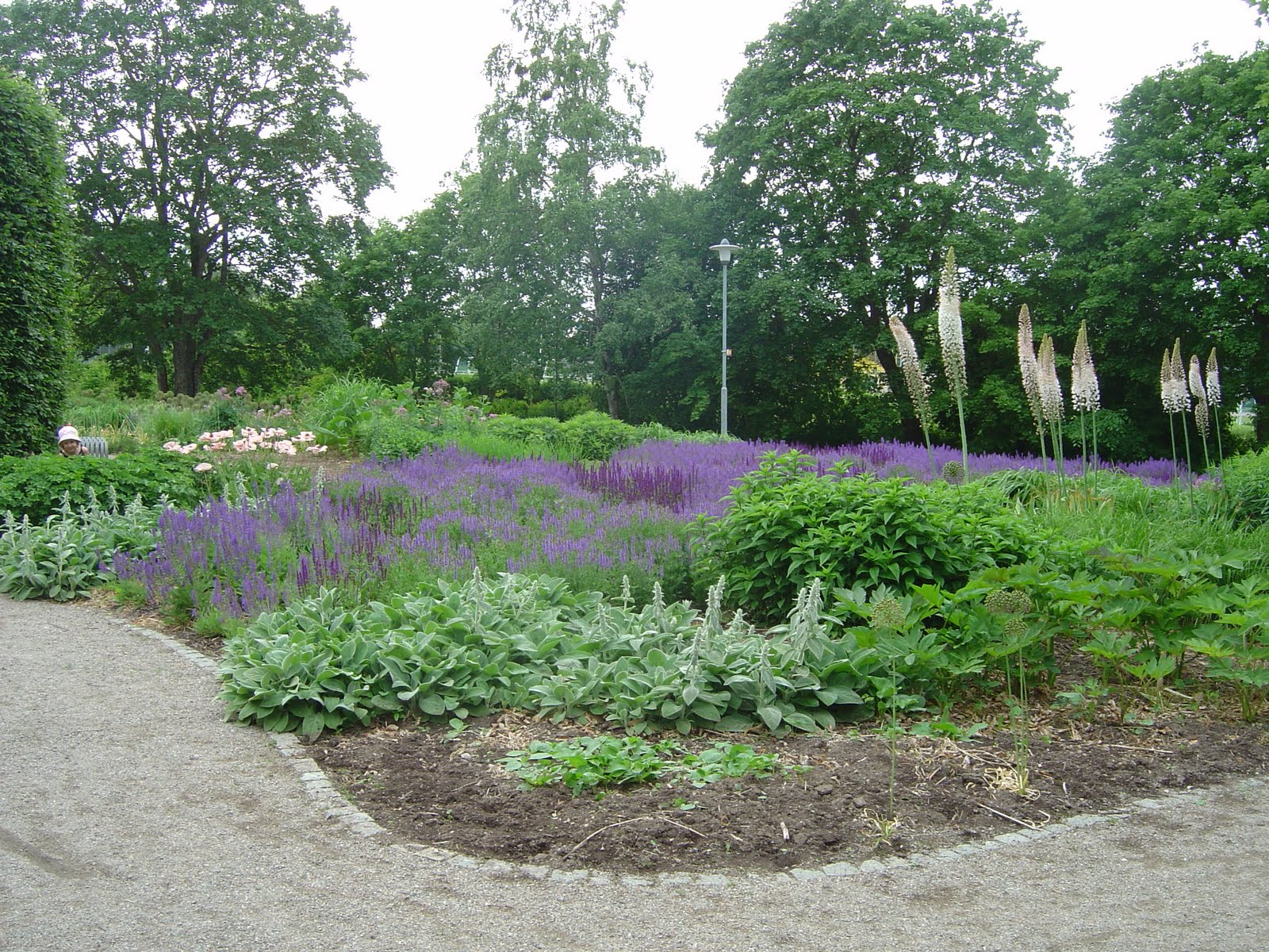 Gröna rum livslust och energi!: enköping drömparken