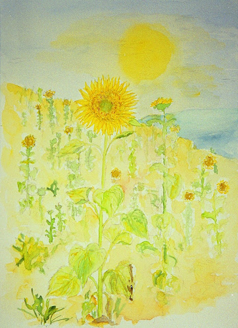 Sunflower in Umbria