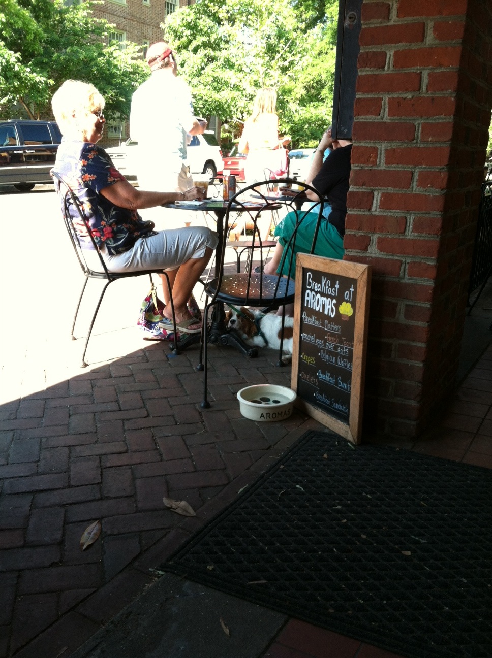 Pawstcards from Hampton Roads Aroma's, Williamsburg, VA