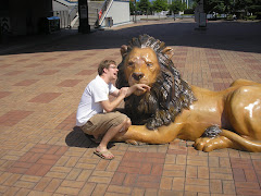 Me being attacked by a lion