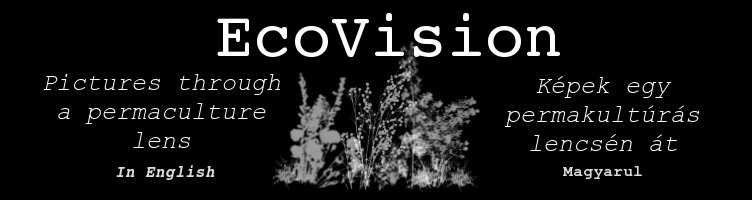 EcoVision