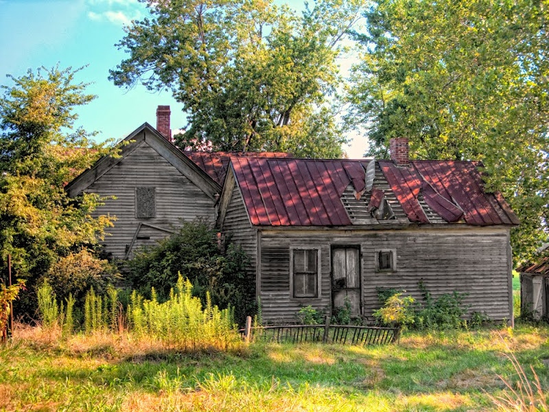 MooPig Wisdom MooPig's Birthplace "Marthasville, MO" Man Charged in