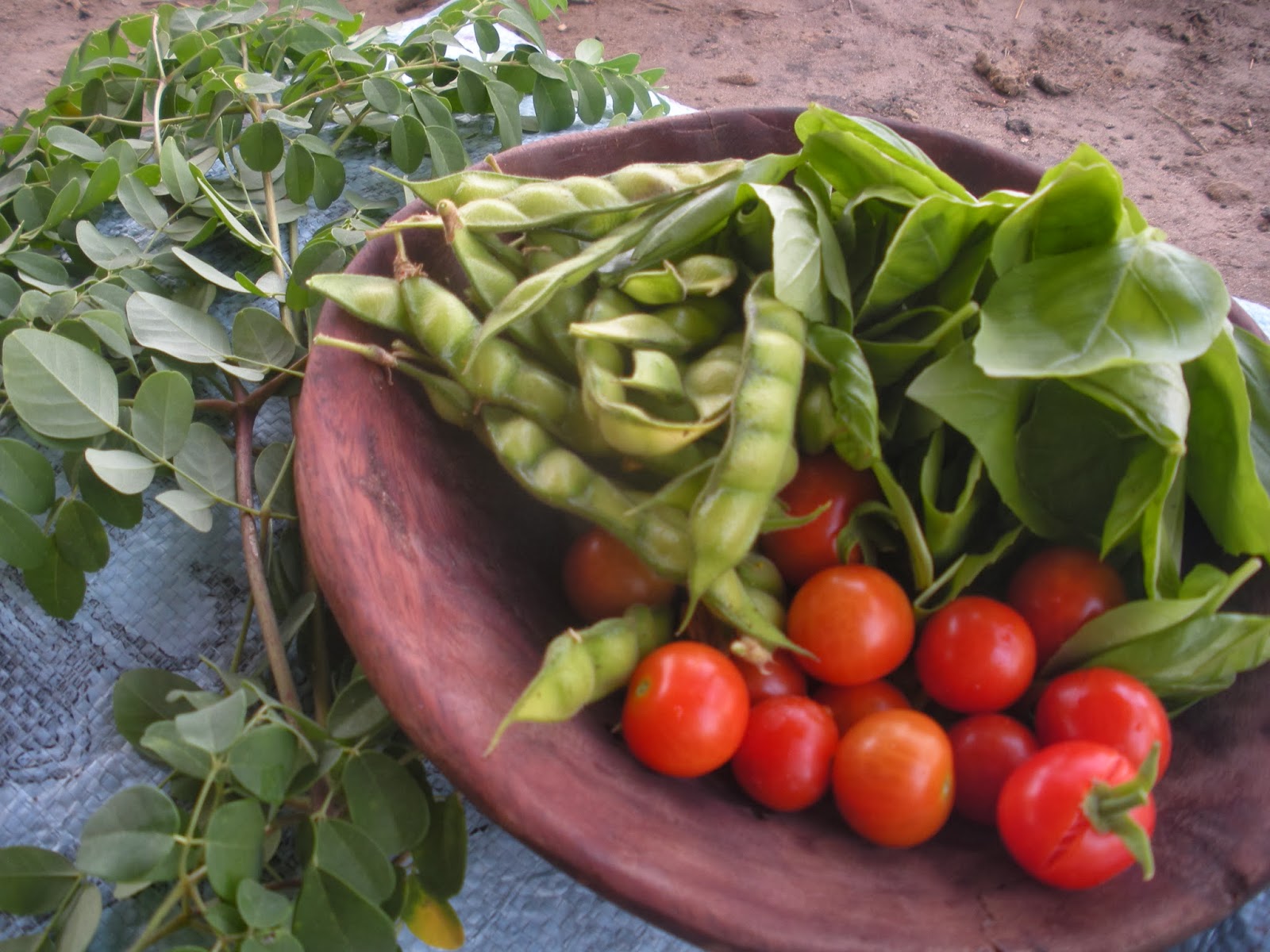 Secrets of the Sahel: Feasting in Senegal