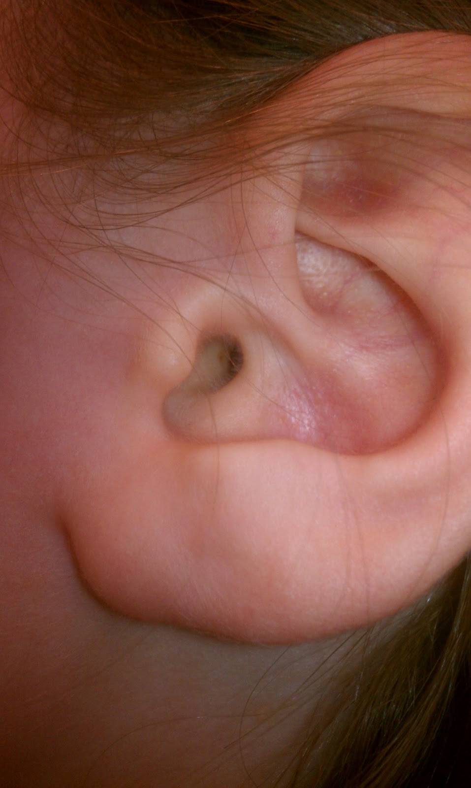 The Real VD April 2013