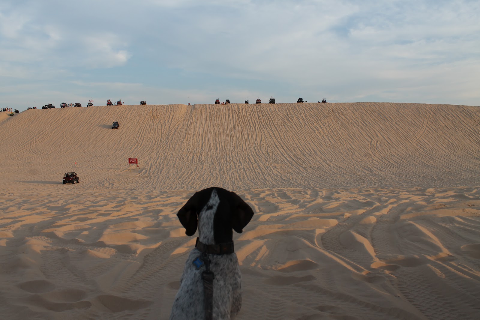 A Engineer in the Kitchen Michigan's Desert