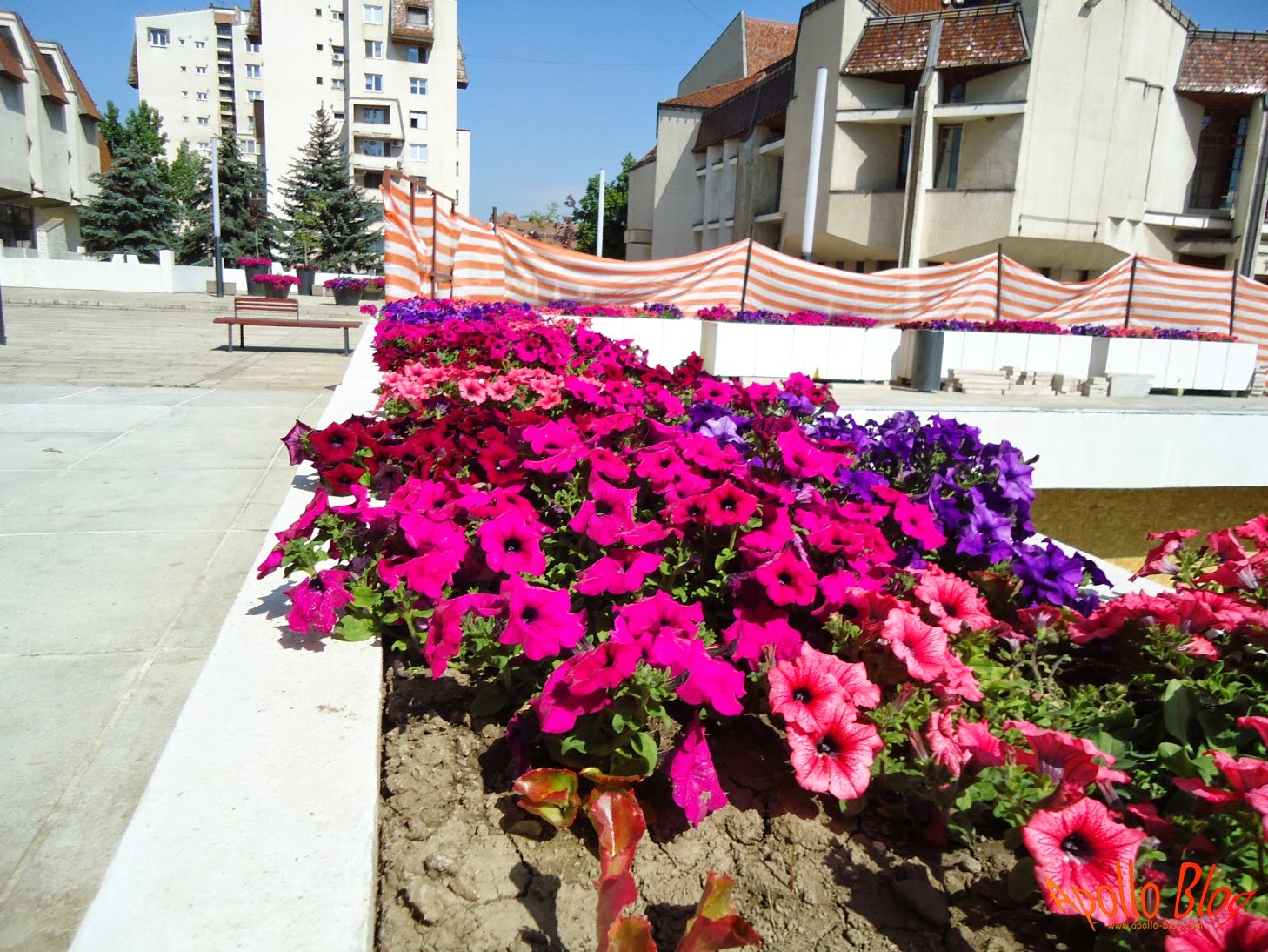 Apollo Blog Targu Mures 26.05.2014