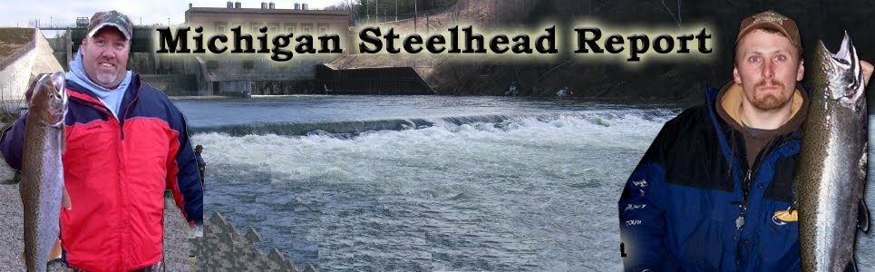 Michigan Steelhead Report