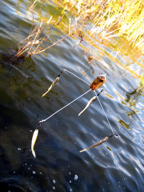 Homemade Alabama Style Rig Fishing Video Hunting the River King