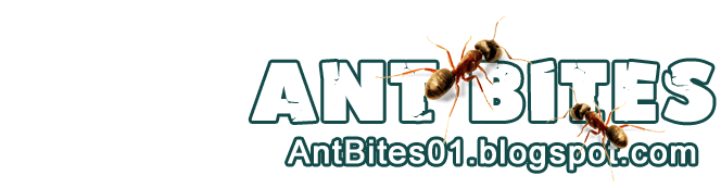 Ant Bites