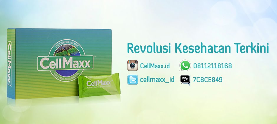 CellMaxx Aceh