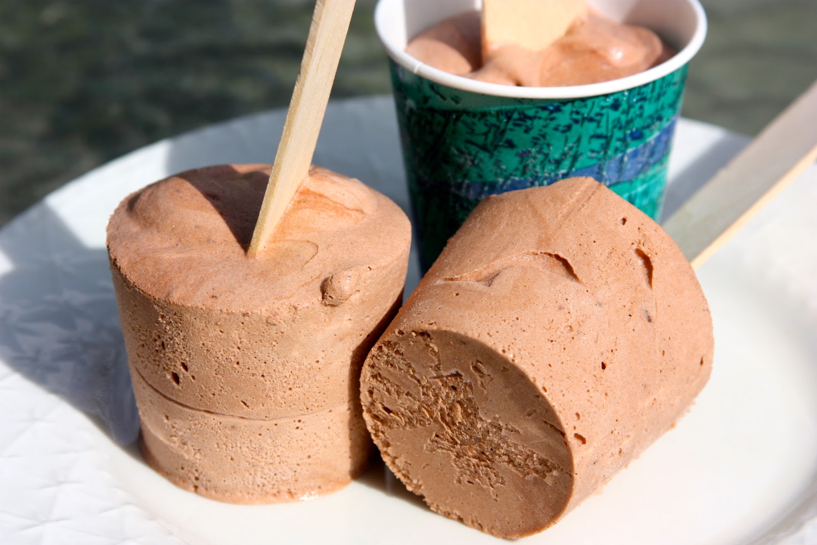 Chocolate Pudding Pops Recipe — Dishmaps