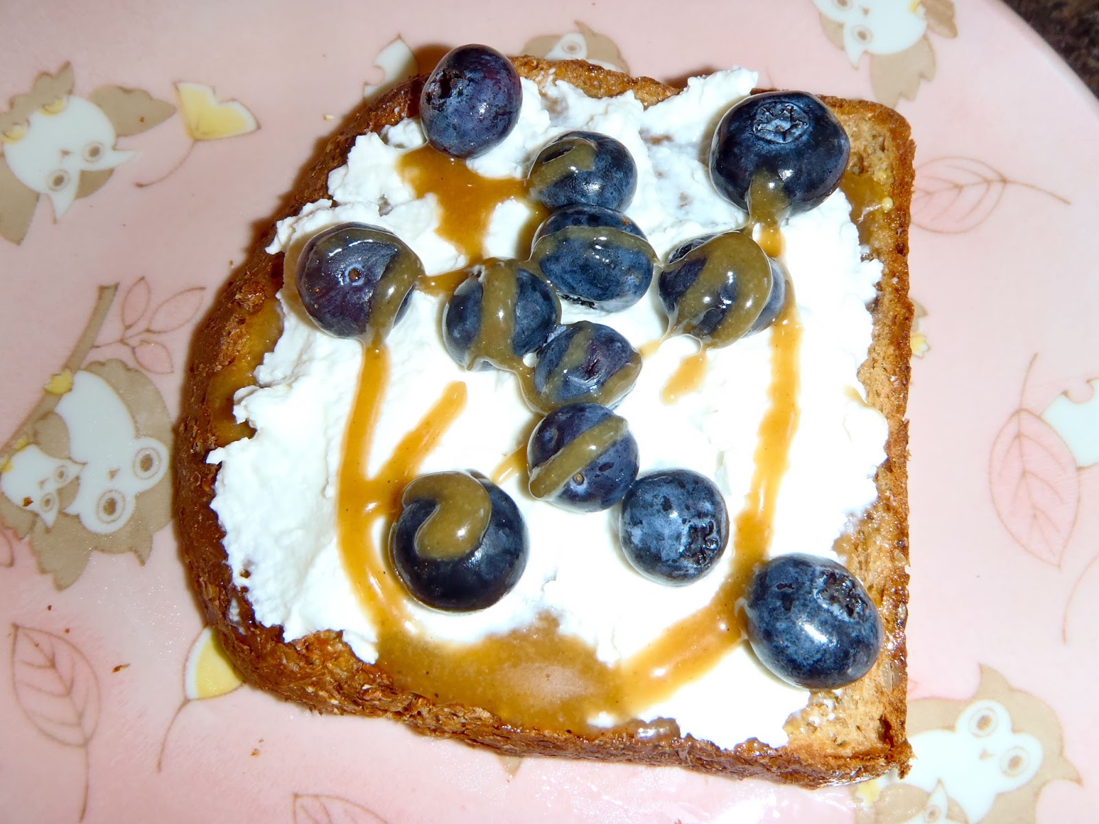 Slovenian Roots Quest Farmer Cheese, HoneyTahini and Blueberry