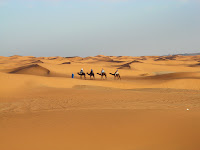 Camel Trekking in Morocco