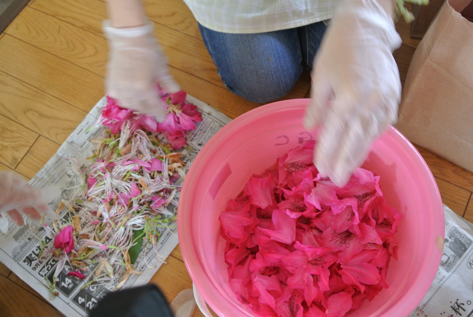 新井宿まちづくりblog 草木染め研究部 フェスタに向けて