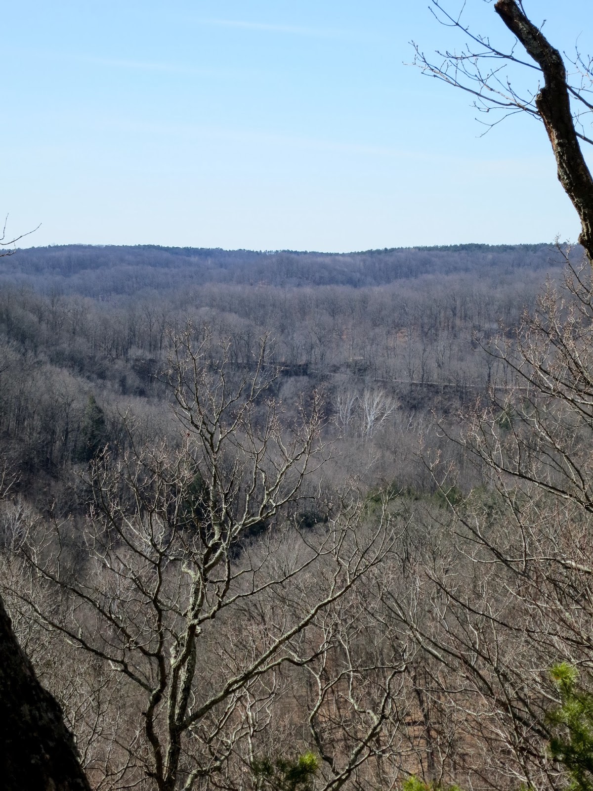 On the Subject of Nature Backpacking at Zaleski State Forest
