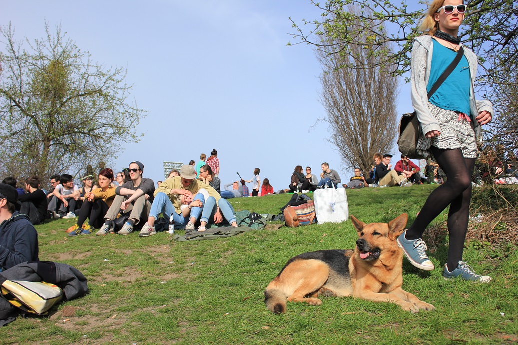 7 8 Ab 9 B 1c 2 Fc Verlagshaus Jaumann