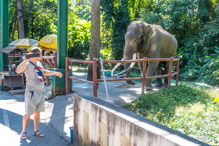 Chiang Mai Zoo. Part one.