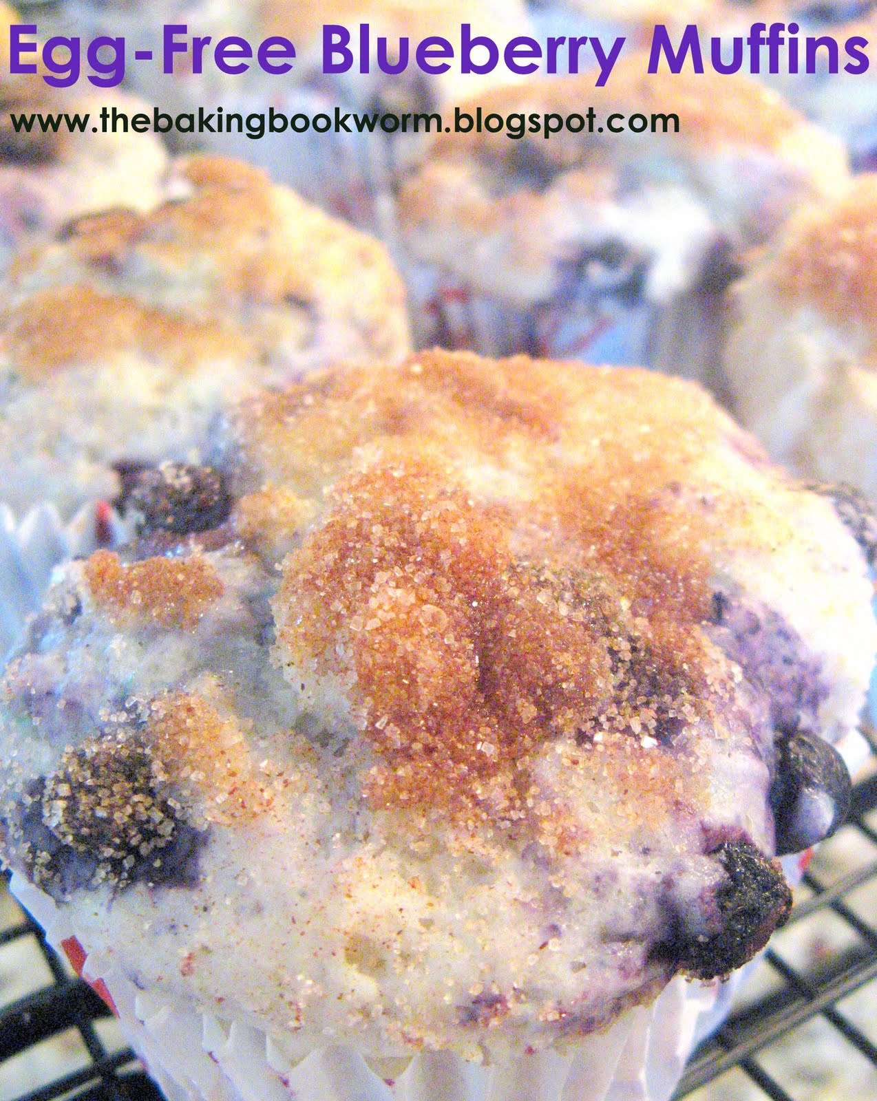 The Baking Bookworm EggFree Blueberry Muffins