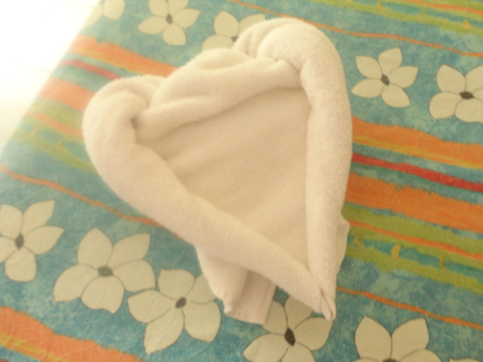 Unstructured Ramblings of My Life... Towel Art
