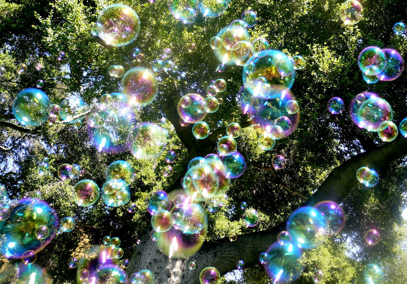 bubble blowing