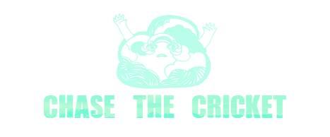 CHASE THE CRICKET