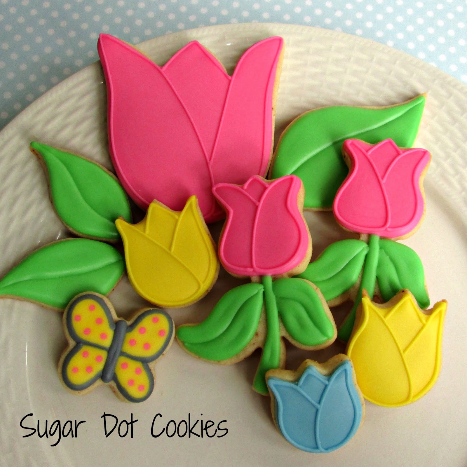 It's spring! After a VERY cold, VERY snowy winter, it's finally here!