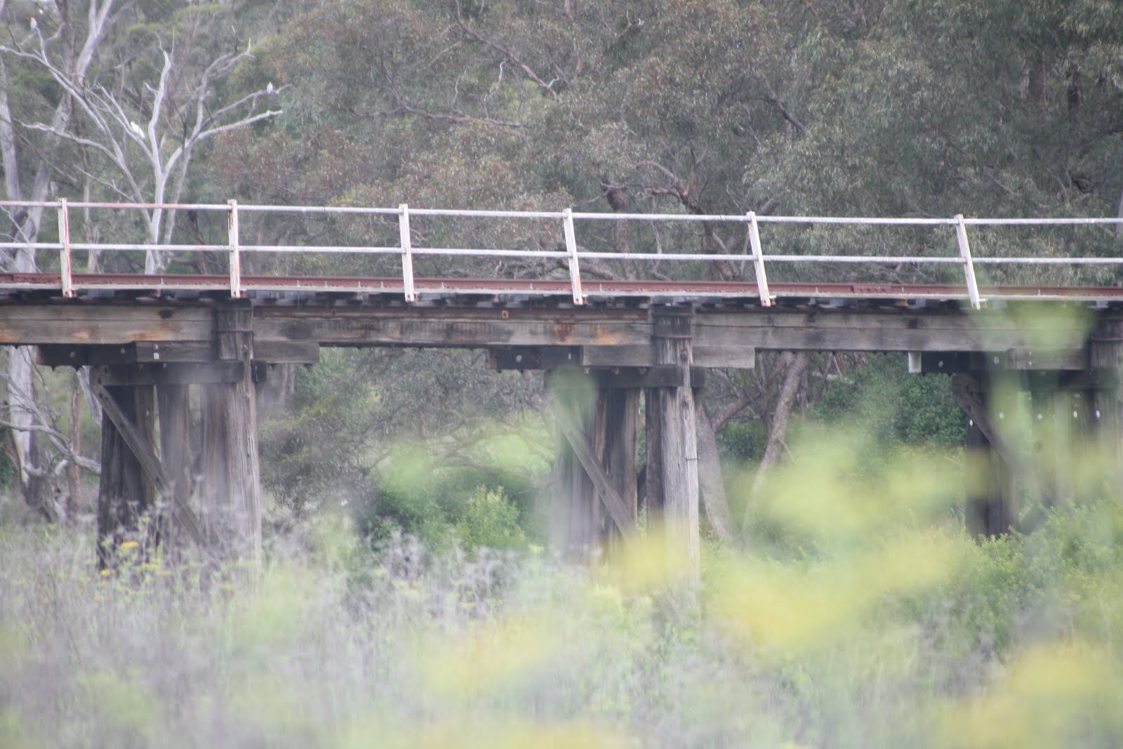 BINNAWAY RAILWAY STATION Historic NSW Railway Stations by Phil Buckley