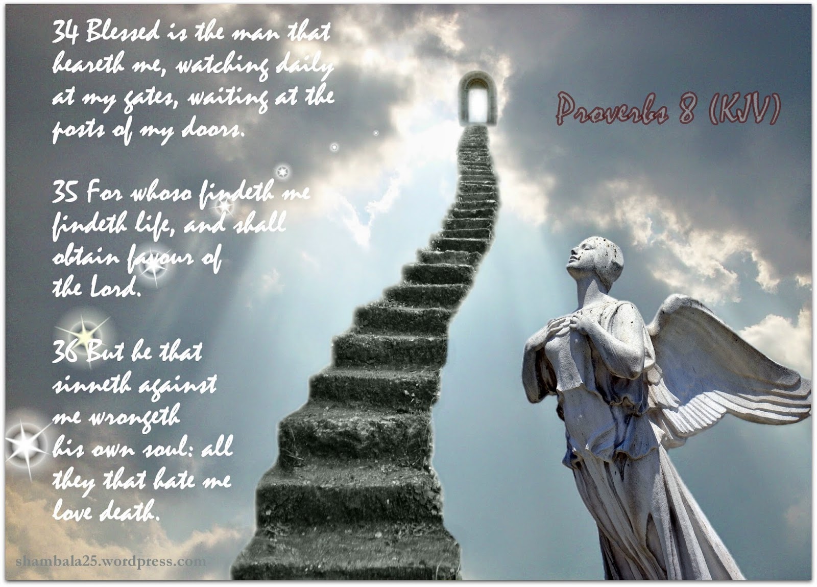 Red Pill Diaries Proverbs 8 (KJV)