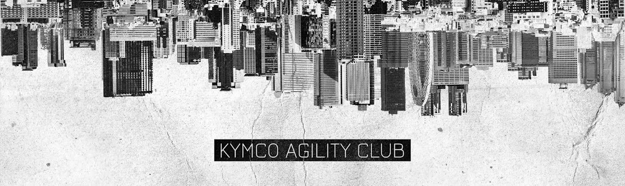 AGILITY CLUB