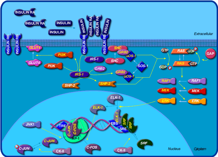 World of Biochemistry (blog about biochemistry) Map about the