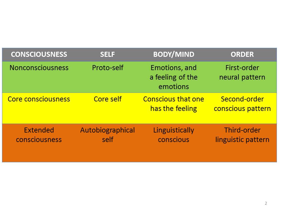 Simplified view of Damasio's model of consciousness: The protoself