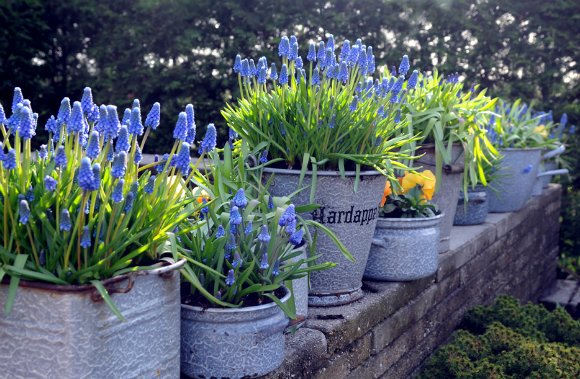Newsplusnotes Walibi Holland S New Rmc Opens July 1 New Pov