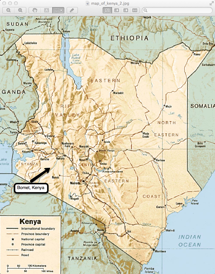 Little Olsen Does It Snow In Kenya?