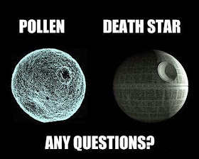 wars joke What do the Death Star and pollen have in common?