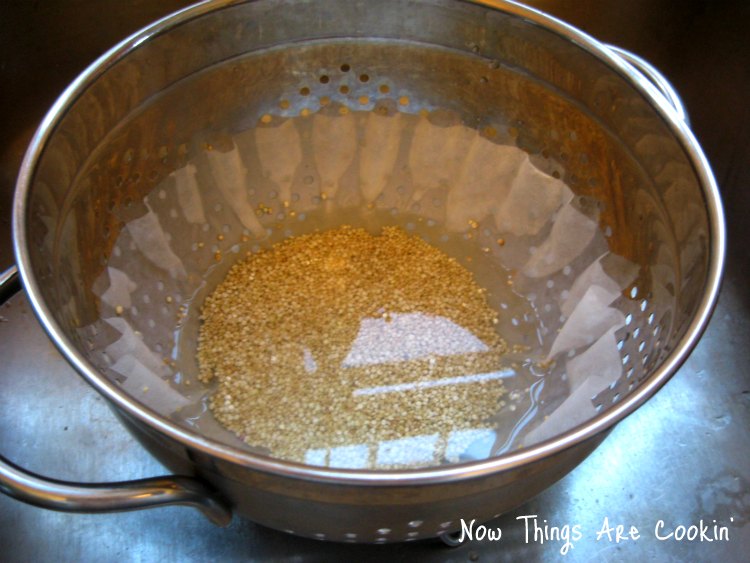 Now Things are Cookin' Fine Mesh Sieve Substitute