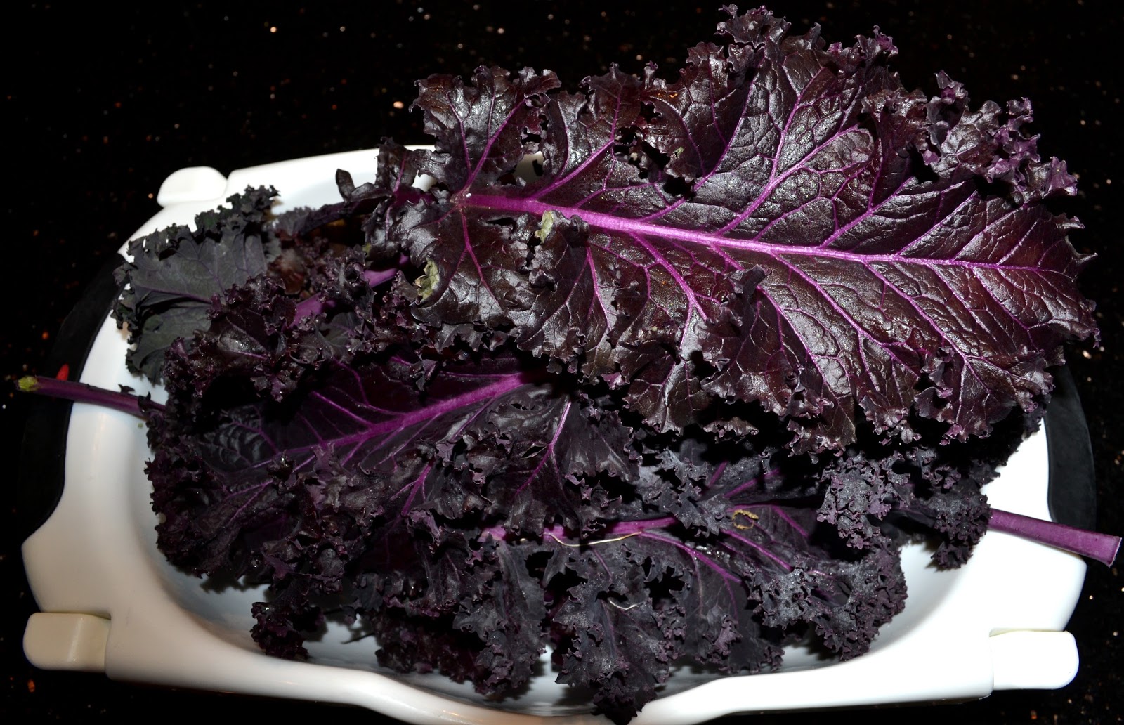 Growing Days Kale Fail.