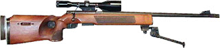 SSG 2000 sniper rifle