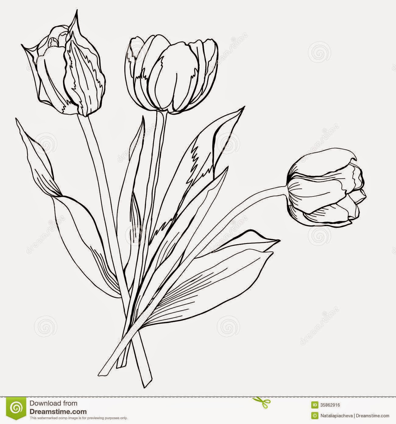 Sketsa Bunga Tulip Gambar Pemandangan