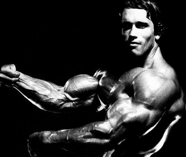 Bodybuilding HD Wallpapers 2013