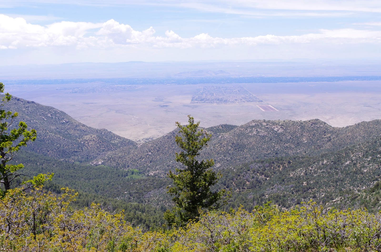 Southern New Mexico Explorer Fourth of July TrailManzano Mountains