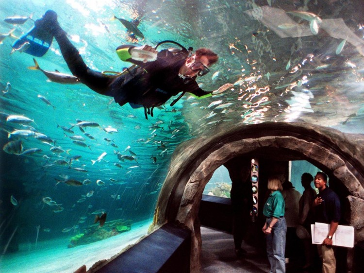 Tourism Oregon Coast Aquarium