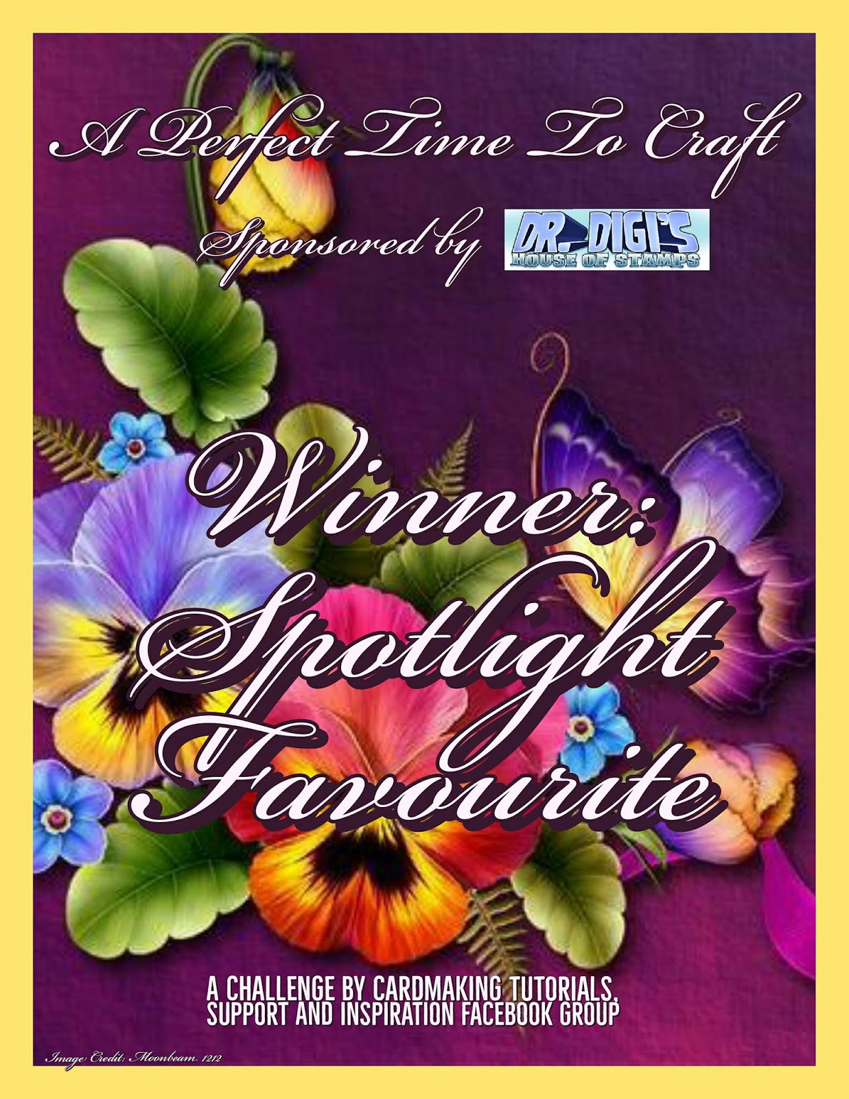 Spotlight winner June 2020