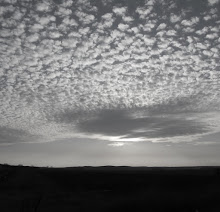 Lonely Looking Sky