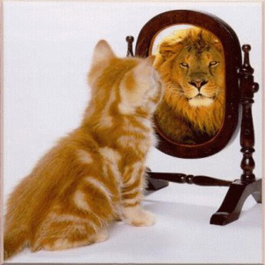 self induced amnesia self induced amnesia
