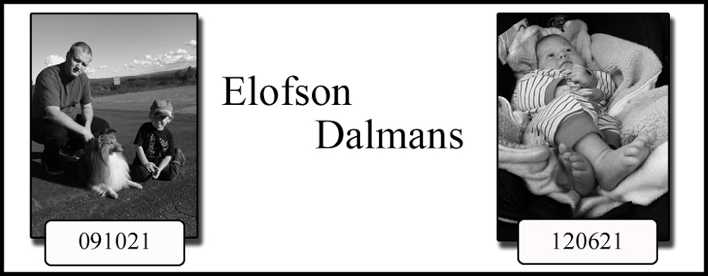 Elofson Dalmans