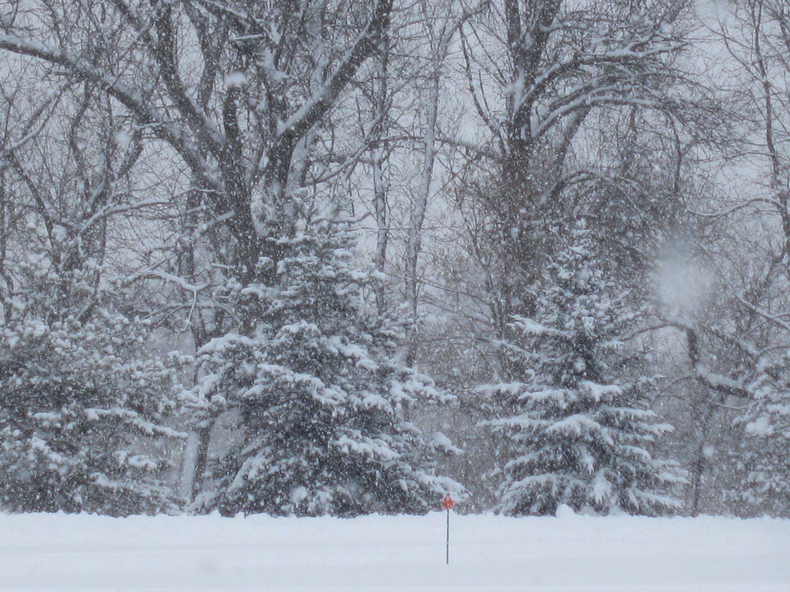 The Primitive Hutch Still Snowing in WI