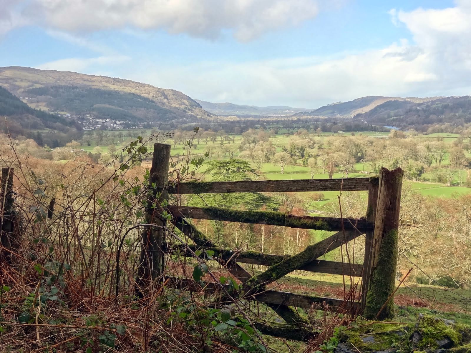 A gate with a view