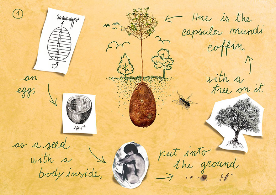 Inmygarden ByeBye Coffins, These Organic Burial Pods Turn Your Loved